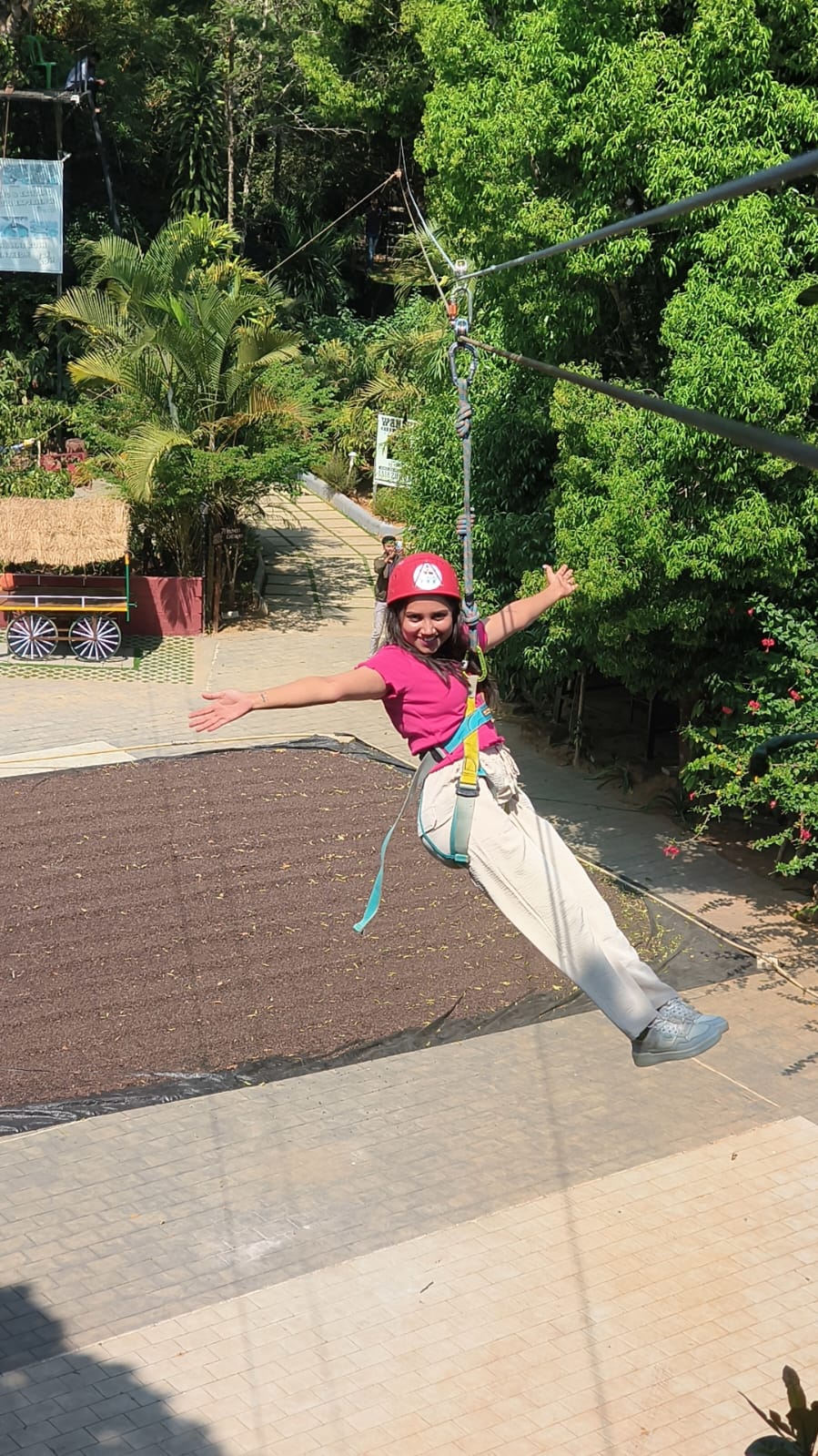 Guest ziplining across the Evergreen County canopy