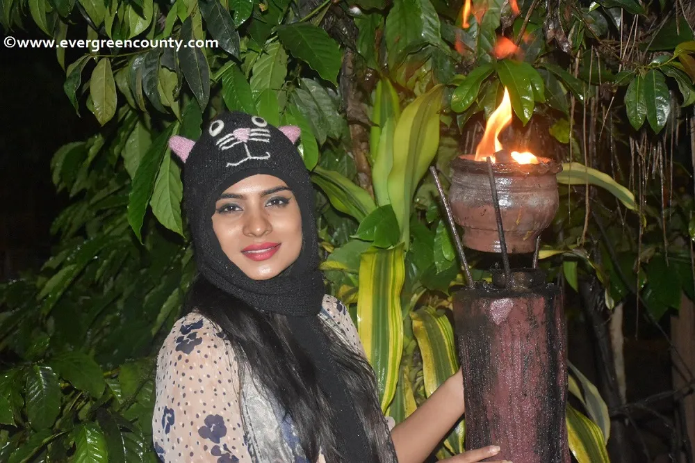 Night plantation walk · lantern lit